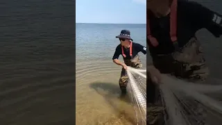 Amazing Big Cast Net Fishing  Net Catch Fishing in The River