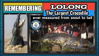 Lolong The World's Largest Crocodile ever Caught and place in Captivity and Died at a very young age
