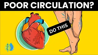 Top 12 Ways to QUICKLY Improve Blood Circulation in Legs