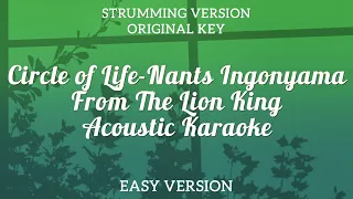 Circle of Life - Nants Ingonyama From The Lion King (Acoustic Karaoke)