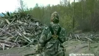 Grizzly Hunting in British Columbia with Alberta Whitetail Country Outfitters