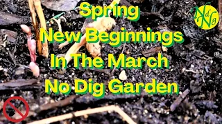 New Beginnings In The March No Dig Garden