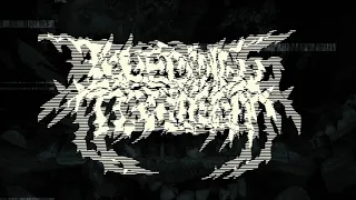 Bleeding Torment - Social Decline (2020)