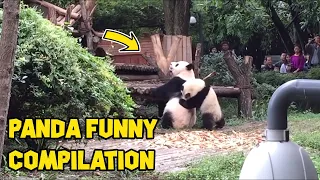 🤣 TRY NOT TO LAUGH CHALLENGE🤣  - Cute and Funny Baby Panda Videos Compilation Updated 2020