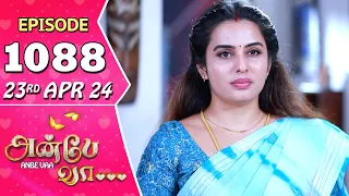 Anbe Vaa Serial | Episode 1088 | 23rd April 24 | Virat | Shree Gopika | Saregama TV Shows Tamil
