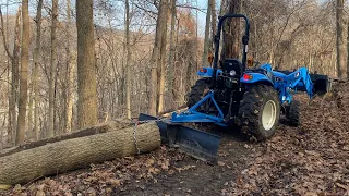 Logging with Farm tractor. The whole process, tree to lumber!