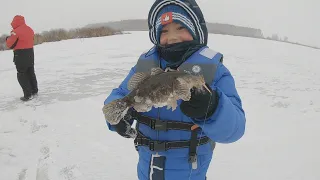 Открытие зимнего сезона | Ловля ротана на куриную шкуру с прикормом | Первый лёд 2021