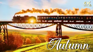Peak Fall Foliage of Autumn in New England, Europe & N. America ~ Colorful Autumn Foliage 4K Drone