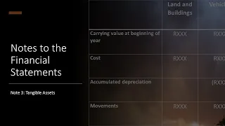 Notes to FS - Note 3: Tangible Assets