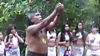 El Heraldo Sabaneño: Taínos en el Bosque de Susúa