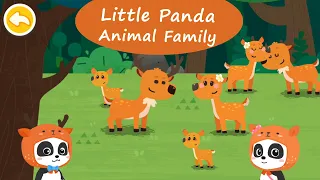 Little Panda Animal Family - Come and see the daily life of animal families | BabyBus Games