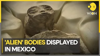 Aliens? Mysterious non-human-like fossils revealed in Mexico | WION