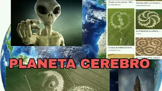 PLANETA( 2022) CEREBRO DJ 2050