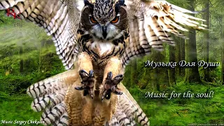 Music Sergey Chekalin! A collection of the BEST Melodies from which goosebumps! music 2023 Птицы