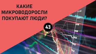 КАКИЕ МИКРОВОДОРОСЛИ ПОКУПАЮТ ЛЮДИ?