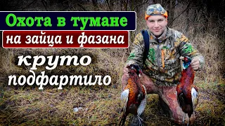 ОХОТА в тумане на ЗАЙЦА и фазана. КРУТО Подфартило