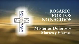 Rosario por los No Nacidos, Misterios Dolorosos, Martes y Viernes