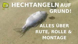 Hechtangeln auf Grund - alles über Rute, Rolle und Montage zum Grundangeln auf Hecht