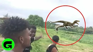 TOP 5 REAL DINOSAURS CAUGHT ON CAMERA & SPOTTED IN REAL LIFE! 1