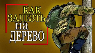 ❓Как ЗАЛЕЗТЬ на дерево.👆 Делаем ступеньки.