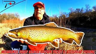 Milwaukee River Winter Brown Trout & Steelhead Fishing