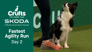 Your FASTEST Agility run from Day 2! | Crufts 2023