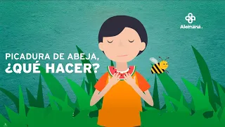 Picadura de abeja ¿qué hacer? | Clínica Alemana