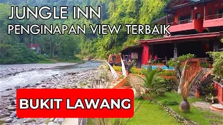 Jungle Inn Bukit Lawang Penginapan View terbaik di Sungai Bukit Lawang