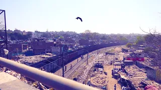 Train Through The Biggest Slums of INDIA 🇮🇳