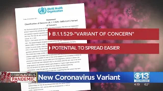 There's A New COVID-19 Variant: Should We Be Concerned?