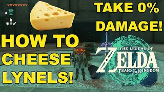 How To Cheese Lynels To EASILY Get Majoras Mask! | INSANE Zonai Build | TLOZ: Tears Of The Kingdom