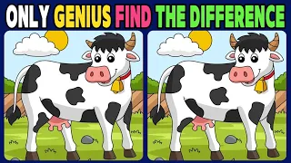 【Find the Difference】Only Genius Find All In Time【Spot the Difference】