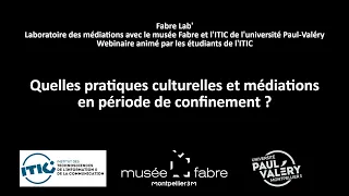 Webinaire : Quelles pratiques culturelles et médiatiques en période de confinement ?