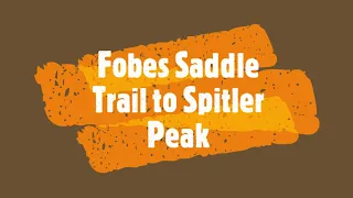 Fobes Saddle Trail to Spitler Peak