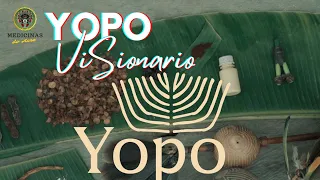 Yopo - Guia Completo (Anadenanthera peregrina)