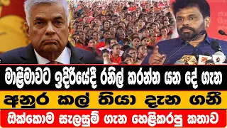 මාළිමාවට ඉදිරියේදී රනිල් කරන්න යන දේ ගැන අනුර කල් තියා දැන ගනී ඔක්කොම සැලසුම් ගැන හෙළිකරපු කතාව