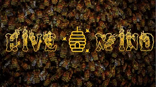 🐝 Hive Mind 🐝 - Glitch Hop | Experimental Bass | Deep Dubstep | Dystopian Mix (2022) - FLASH WARNING