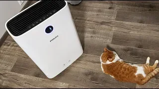 Климатический комплекс Philips AC3821 - очистка и увлажнение воздуха