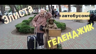 Элиста - Геленджик автобусом.