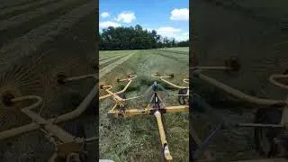 Raking second crop alfalfa