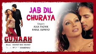 Jab Dil Churaya Best Audio Song - Gunaah|Bipasha Basu|Dino Morea|Alka Yagnik