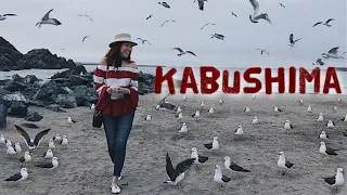 Kabushima Seagulls & Saba No Eki Restaurant | HACHINOHE, JAPAN | Bianca Valerio