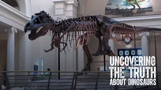 Uncovering the Truth About Dinosaurs 1: Digging into Dinosaurs