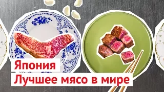 Самое дорогое в мире мясо: японская мраморная говядина