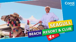 Coral Tourist. Єгипет, Хургада: SEAGULL BEACH RESORT & CLUB 4*