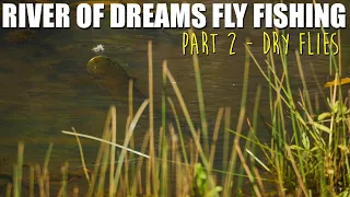 Dry Fly Fishing the River of Dreams - Patagonia Wilderness Brown Trout Dry Fly Fishing Part 2