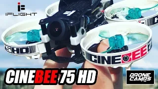 INSANE PERFECTION! - iFlight Cinebee 75HD - Review, Flights & Betaflight Setup