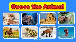 Animal  Quiz : Guess the Animal