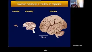 How our Brains Decide, Create and Innovate