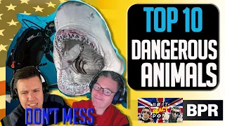 Another Top 10 Dangerous Animals USA BRITISH REACTION